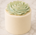 Succulent Sage Keepsake Cake™ | Luxury White Chocolate Crisp Cake Gift