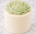 Succulent Sage Keepsake Cake™ | Gourmet Crisp Cake Gift