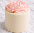 Blush Bloom Keepsake Cake™ | Gourmet Crisp Cake Gift